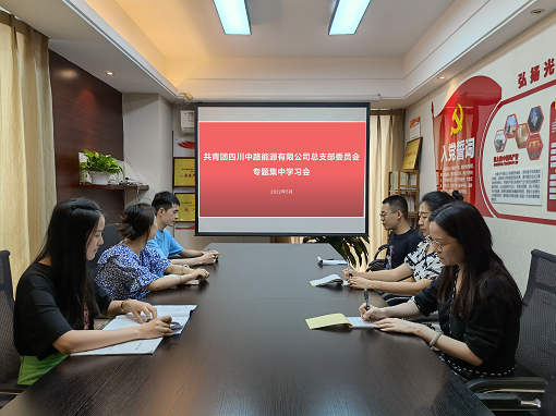 中路公司團(tuán)總支組織開展專題集中學(xué)習(xí)會.png